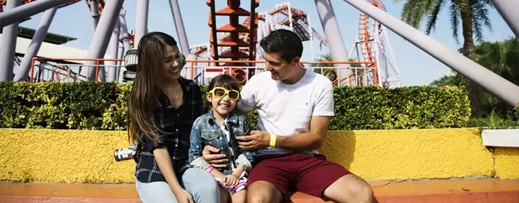 Theme Park 