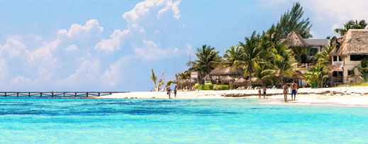 American Airlines Vacation