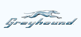 Greyhound