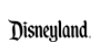 Disney theme park