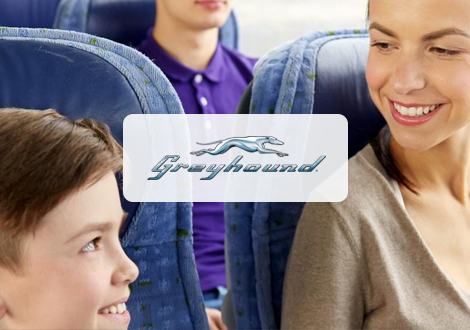 Greyhound