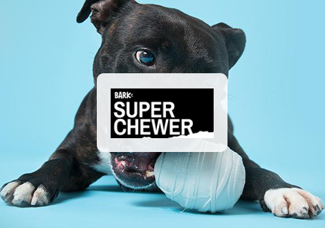 Super Chewer