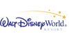 Disney theme park